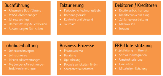 Dienstleistungen der Pearlsys AG